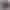 Чохол-накладка LAUT SHIELD ENDURO для iPad Pro 11” (2021/20/18) / iPad Air 10.9” (2022/20) Plum (L_IPD20_SE_PL)