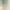 Чохол для iPhone 15 Pro – Soft Waves (Bows & Pearls) - фото 2