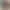 Епілятор Braun Silk_epil 9 SES 9-341 - фото 2