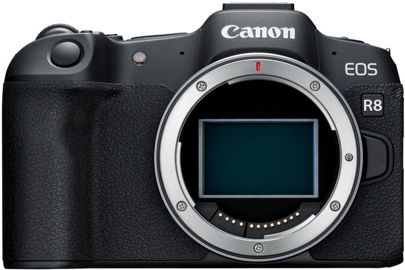 Беззеркальный фотоаппарат Canon EOS R8 + RF 50mm f/1.8 STM