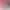 Крісло ігрове Anda Seat Kaiser 3 Size L Pink (AD12YDC-L-01-P-PV/C) - фото 4
