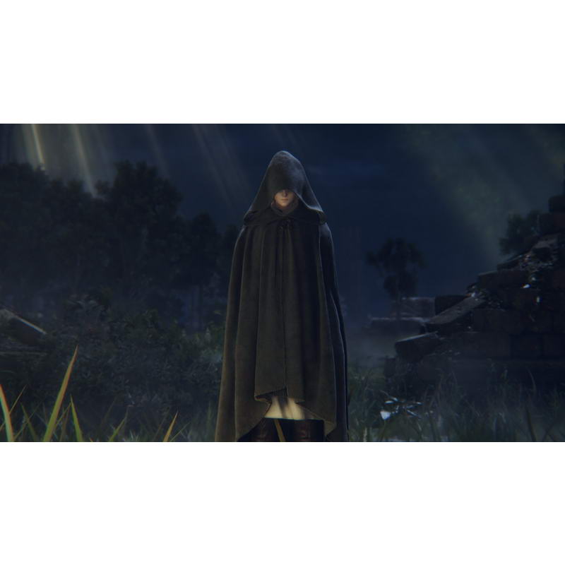 Гра для PS4 Elden Ring (3391892006667) - фото 3
