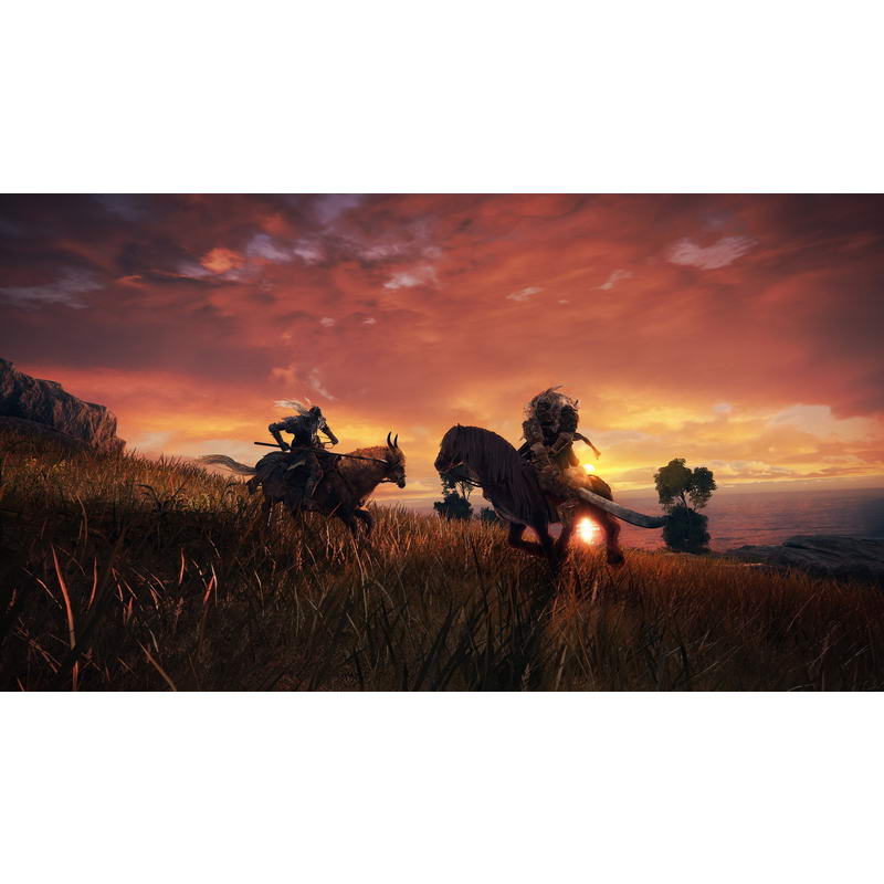 Гра для PS4 Elden Ring (3391892006667) - фото 8