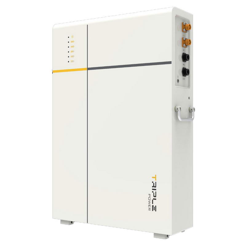Комплект збереження енергії Гібридний сонячний інвертор Solax Power PROSOLAX X1-HYB-6.0-LV 6 кВт + Акумуляторна батарея Solax Power PROSOLAX T-BAT-LV D53 5.3 kWh (1 шт) - фото 4