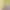 Apple iPad 2025 Wi-Fi 128GB Yellow (MD4D4)