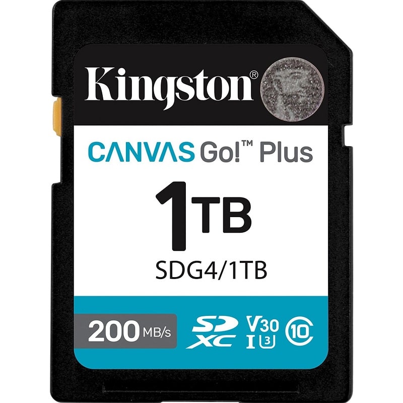 Карта памяти SDXC (UHS-1 U3) Kingston Canvas Go! Plus 1Tb class 10 A2 V30 (R200MB/s, W160MB/s) (SDG4/1TB)