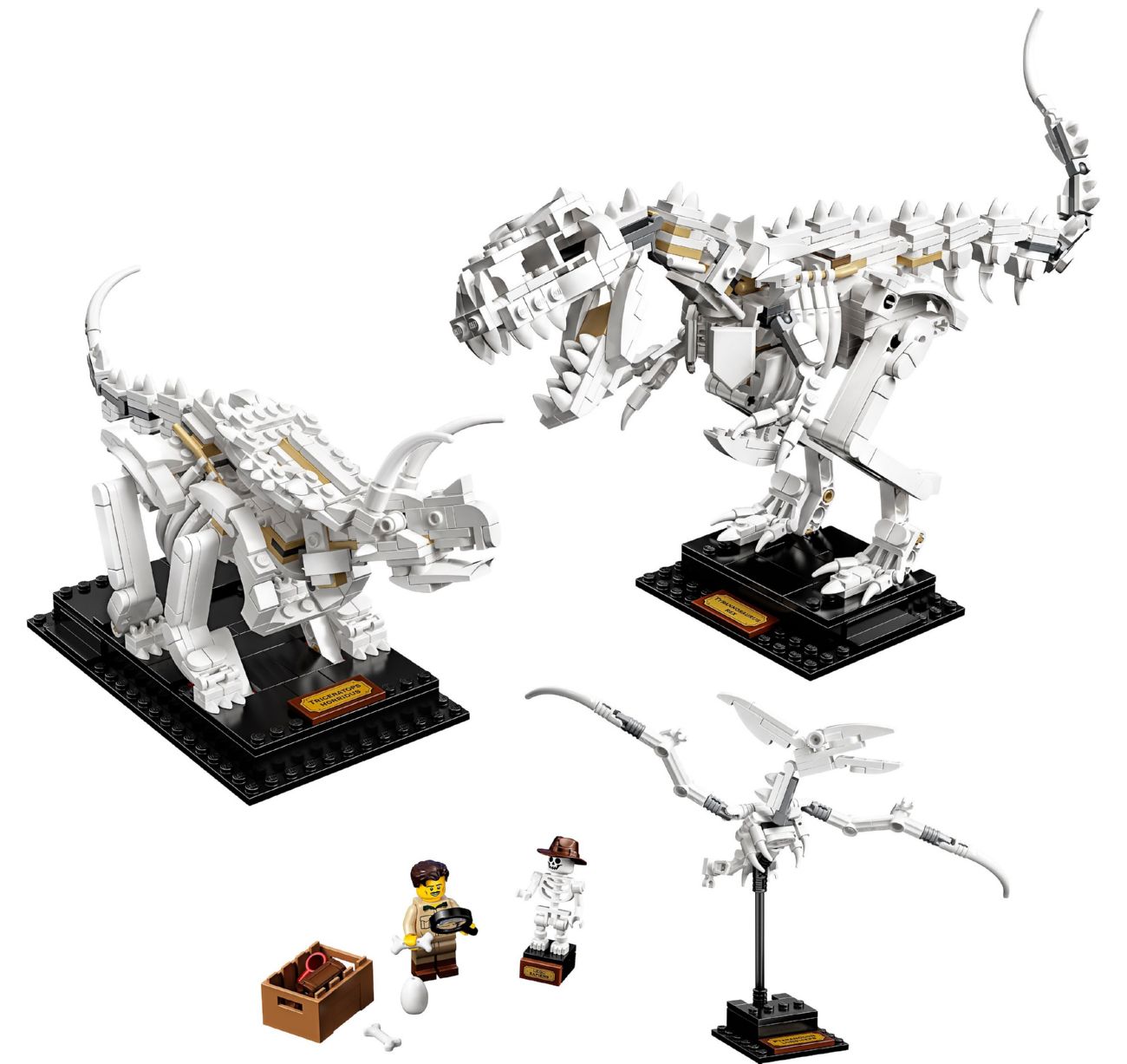 Конструктор Lego Ideas Окаменелости динозавров (21320) - фото 1