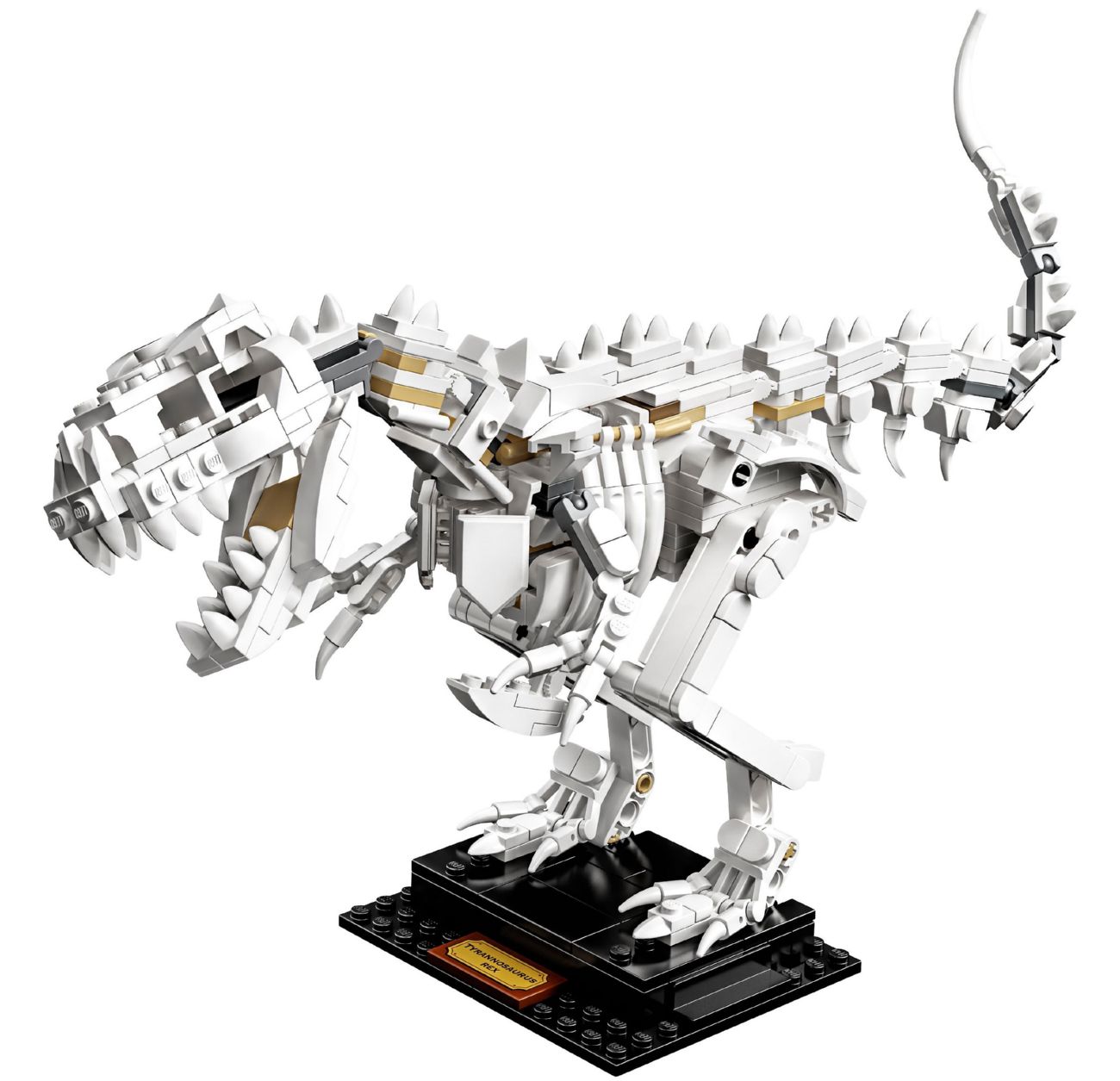 Конструктор Lego Ideas Окаменелости динозавров (21320) - фото 2