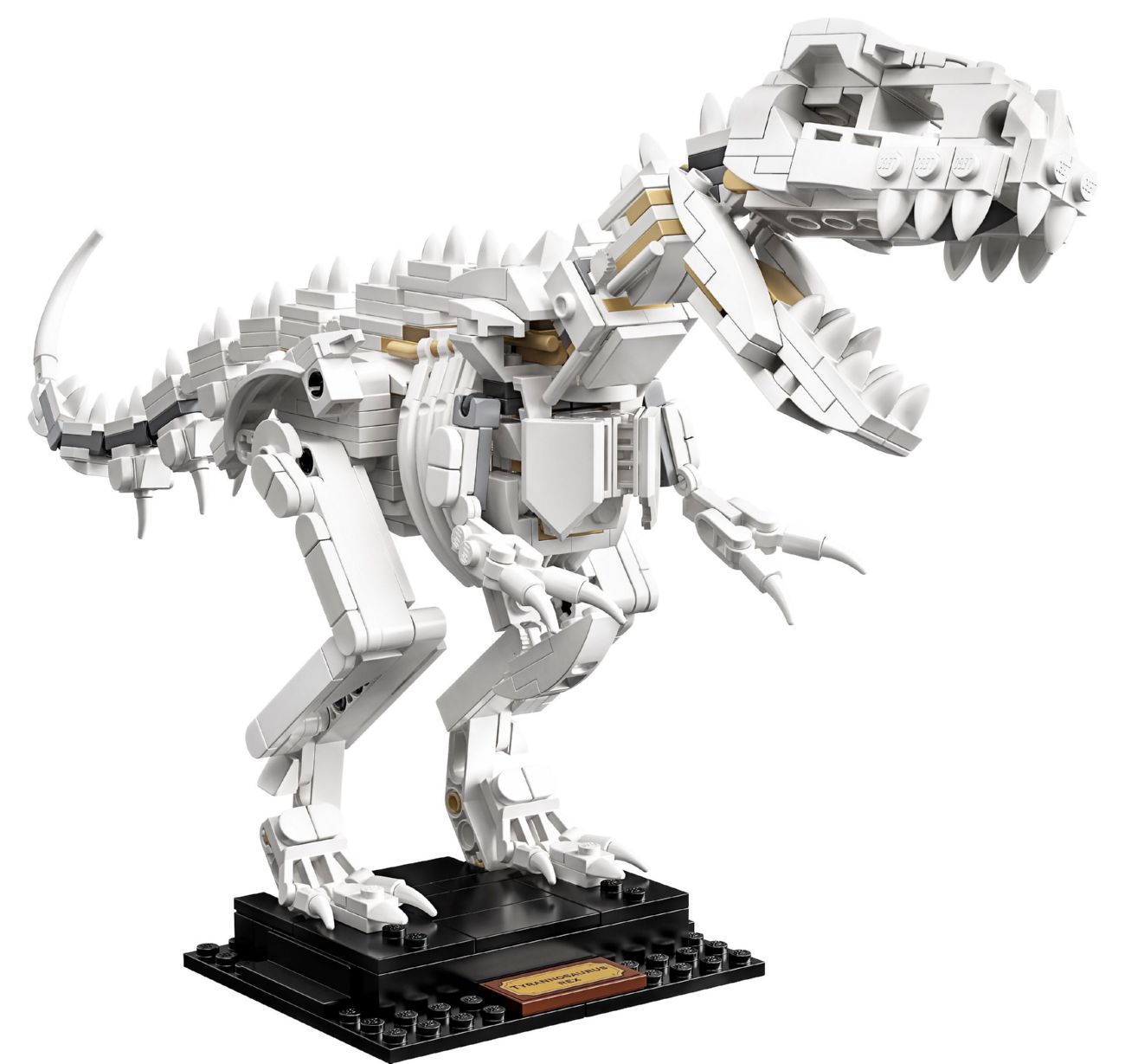 Конструктор Lego Ideas Окаменелости динозавров (21320) - фото 3