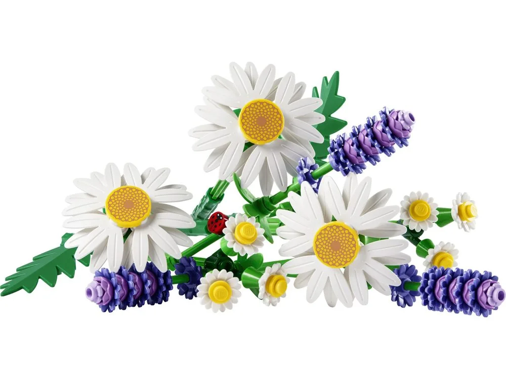 Конструктор LEGO Botanicals Ромашки (11508) - фото 1