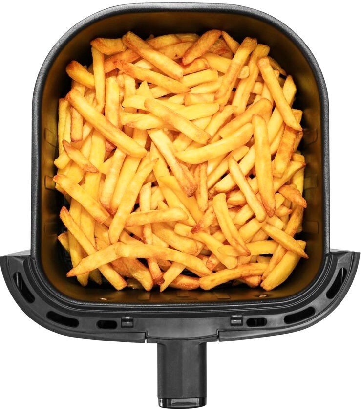 Мультипечь Moulinex EasyFry&Grill Precision EZ505810 - фото 1
