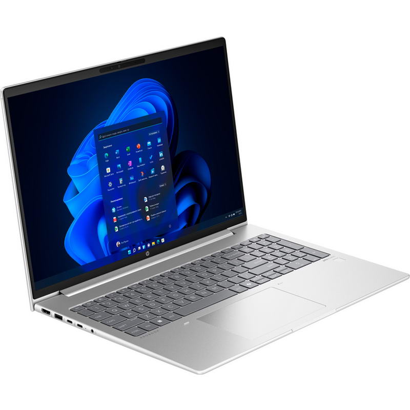 Ноутбук HP ProBook 465 G11 (A38JYET) Pike Silver - фото 1
