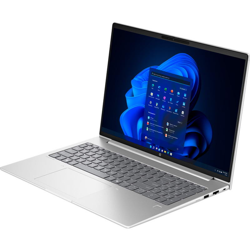Ноутбук HP ProBook 465 G11 (A38JYET) Pike Silver - фото 2