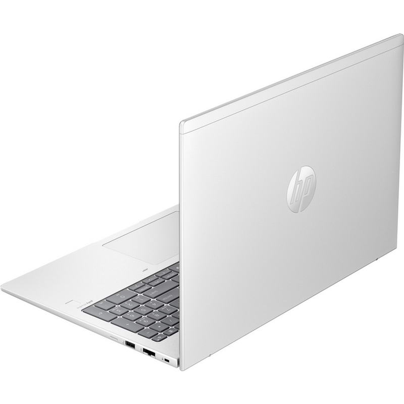 Ноутбук HP ProBook 465 G11 (A38JYET) Pike Silver - фото 3