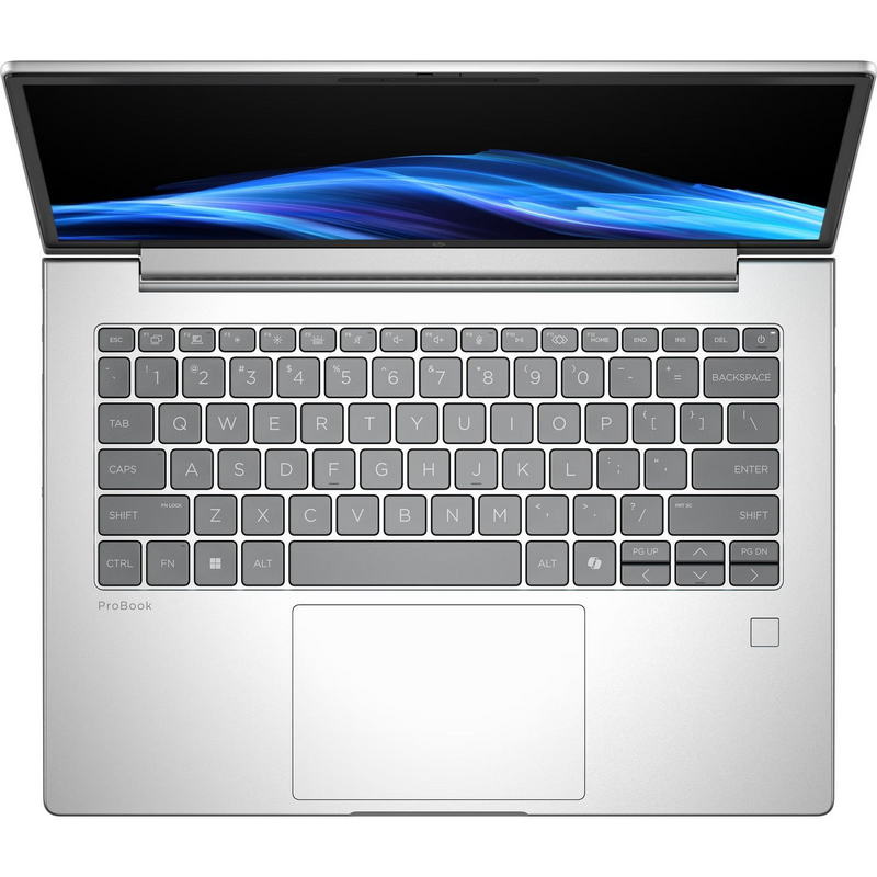 Ноутбук HP ProBook 4 G1i 14 (C45N7ET) Pike Silver - фото 3