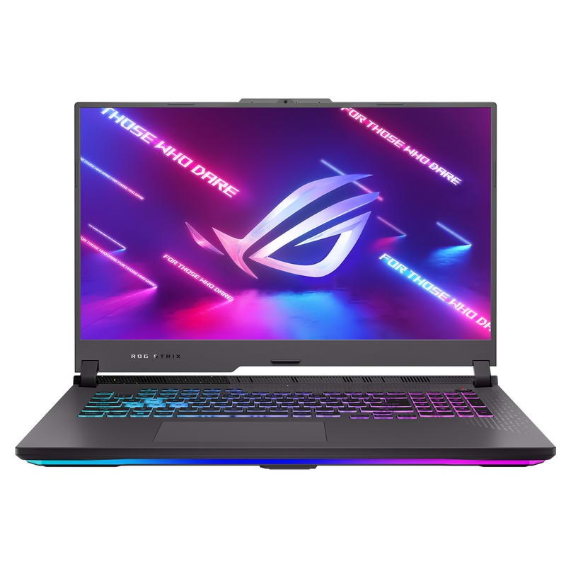 Ноутбук ASUS ROG Strix G17 G713 (G713PI-RS91-CA) Eclipse Gray