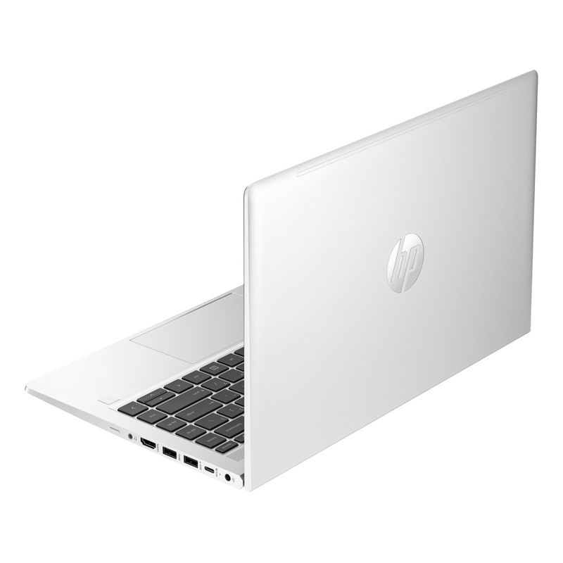 Ноутбук HP ProBook 445 G10 (7P3C7UT) Pike Silver - фото 3