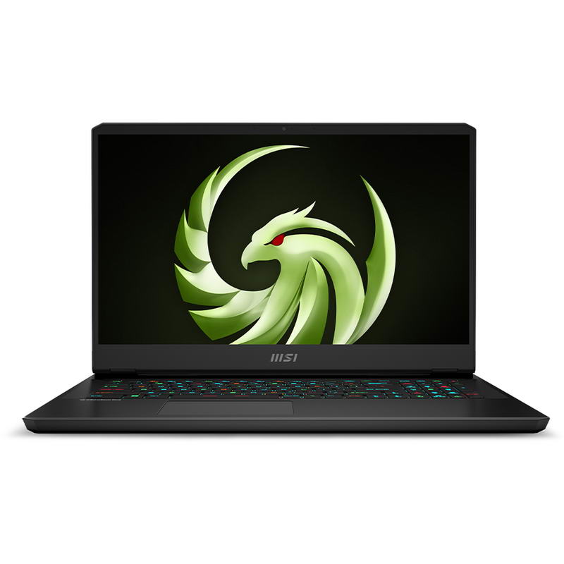Ноутбук MSI Alpha 17 C7VG (C7VG-053US) Black