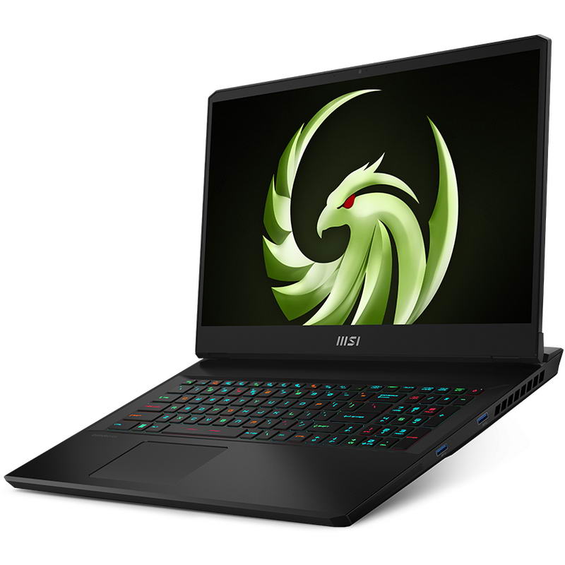 Ноутбук MSI Alpha 17 C7VG (C7VG-053US) Black - фото 1