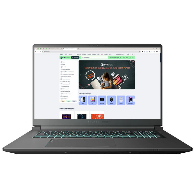 Ноутбук Thunderobot 911 X17 (911X17-i7136H56C1Q165MBD) Black