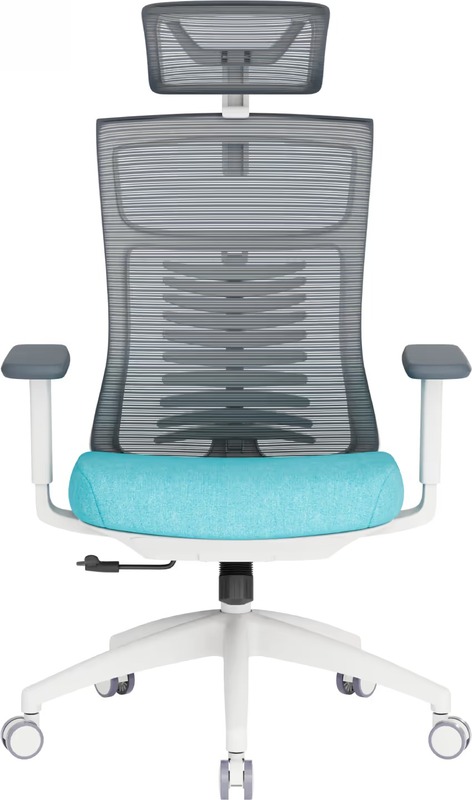 Офисное кресло OfficePro Balance OC550-W-DG-BL