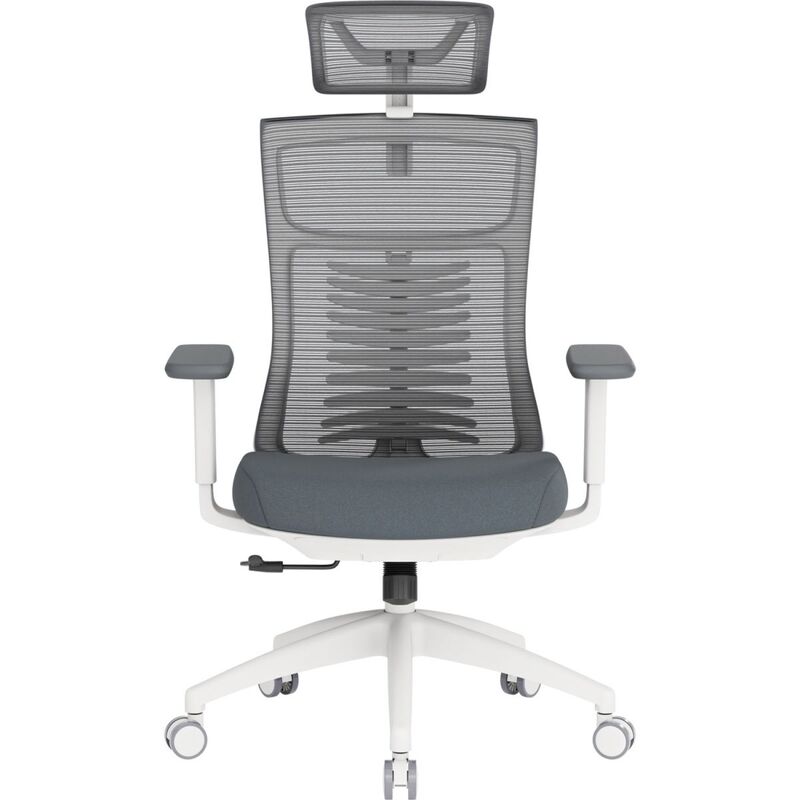 Офисное кресло OfficePro Balance OC550-W-DG-DG White/Dark Gray