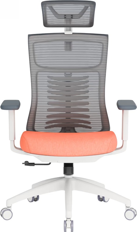 Офисное кресло OfficePro Balance OC550-W-DG-OR