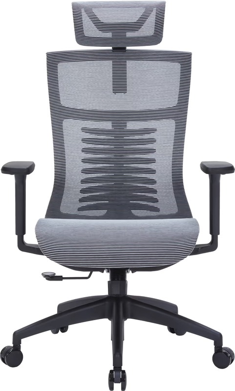 Офисное кресло OfficePro Balance OC620-B-DG-DG