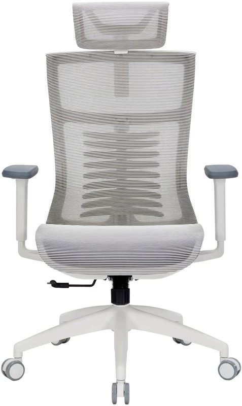 Офисное кресло OfficePro Balance OC620-W-LG-LG