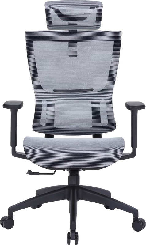 Офісне крісло OfficePro Elegant OC660-B-DG-DG