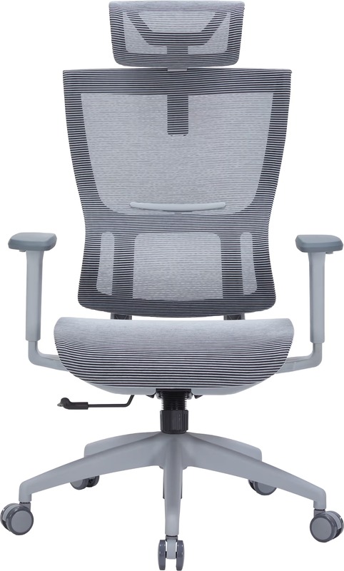 Офисное кресло OfficePro Elegant OC660-G-DG-DG