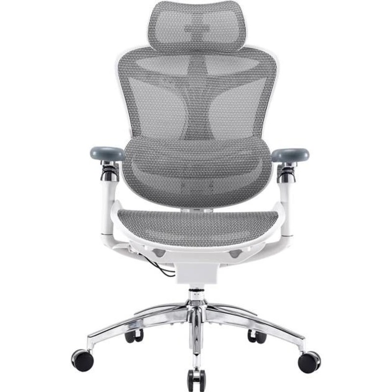 Офисное кресло Sihoo DORO C300 Pro Mesh White (DORO-C300-PRO-M102)