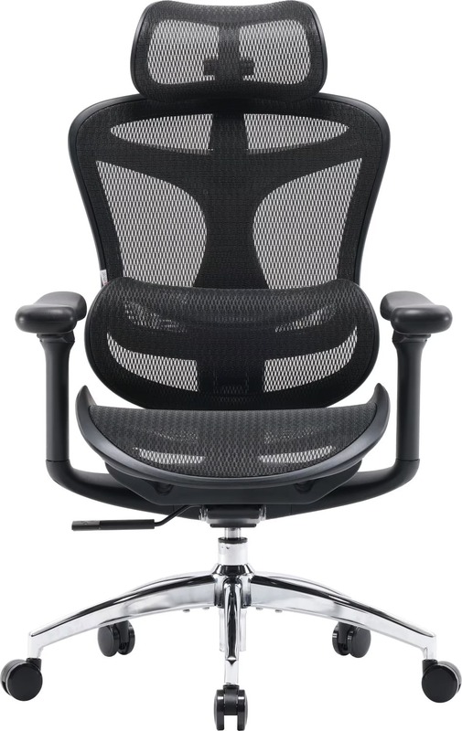Офисное кресло Sihoo DORO C300L Mesh Black (DORO-C300L-A3-101)