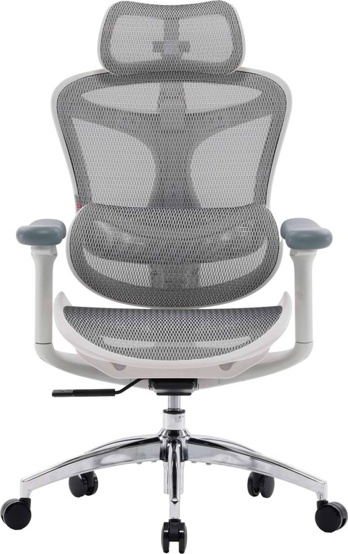 Офисное кресло Sihoo DORO C300L Mesh White (DORO-C300L-A3-102)