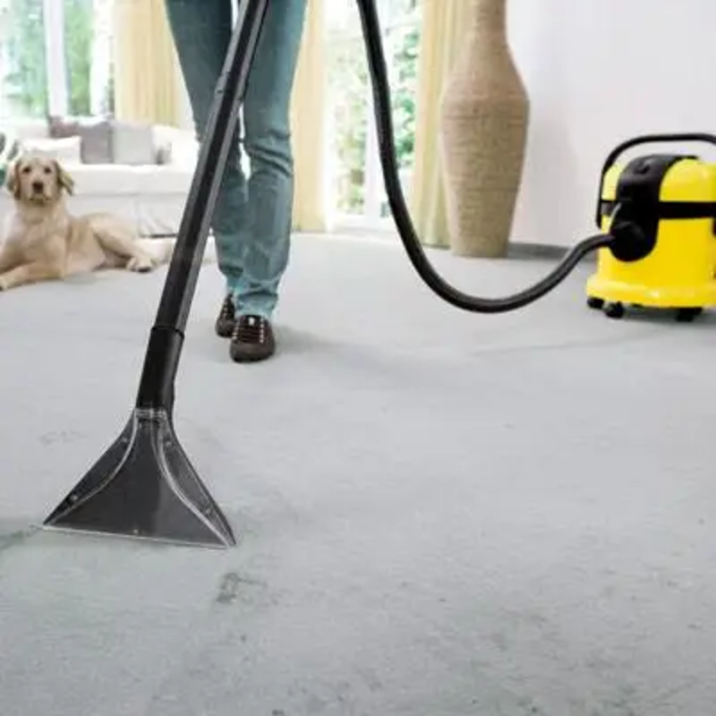 Моющий пылесос Karcher SE 4001 (1.081-130.0) - фото 3