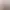 Випрямляч Revlon Salon Straight Copper Smooth Styler (RVST2175E2) - фото 3
