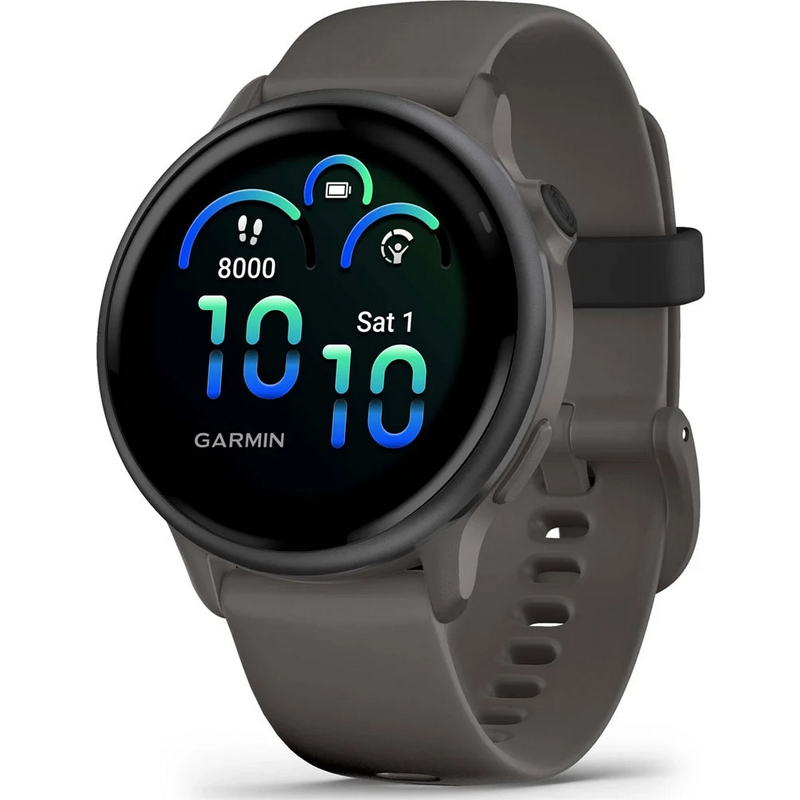 Смарт-часы Garmin Vivoactive 6 Pebble Gray with Slate Band (010-02985-04)