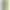 Фитнес-браслет Garmin Vivosport, E EU, Limelight (010-01789-23/03) (Official Refurbished)