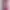 Смартфон Blackview Color 8 8/256Gb Global (Grey)