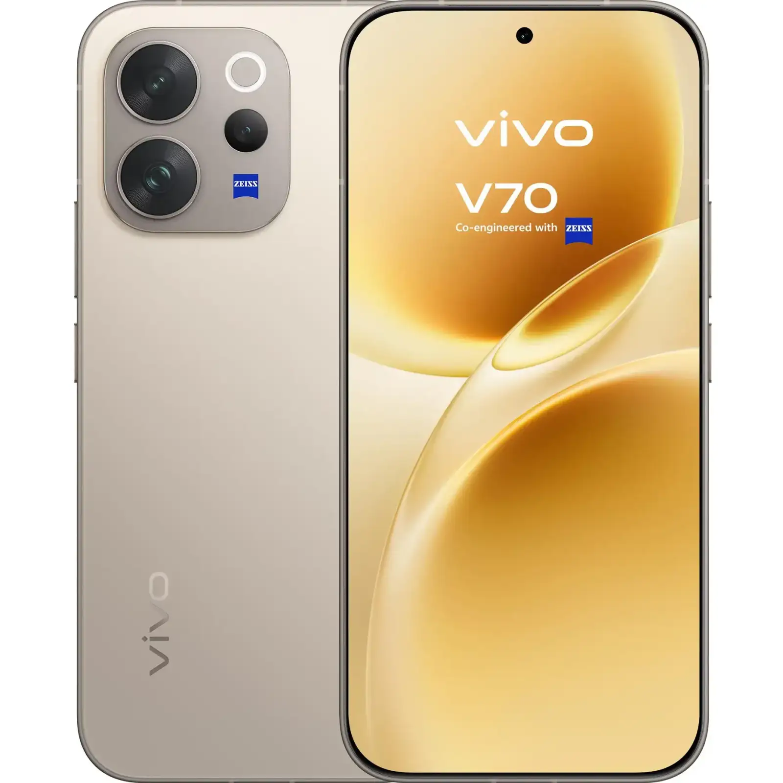 Смартфон Vivo V70 12/256GB Gray (Global Version)