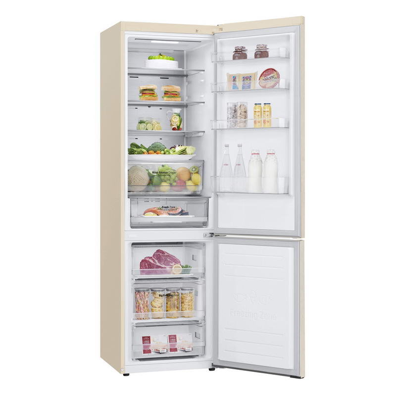 Холодильник LG GC-B509SESM Europe - фото 1