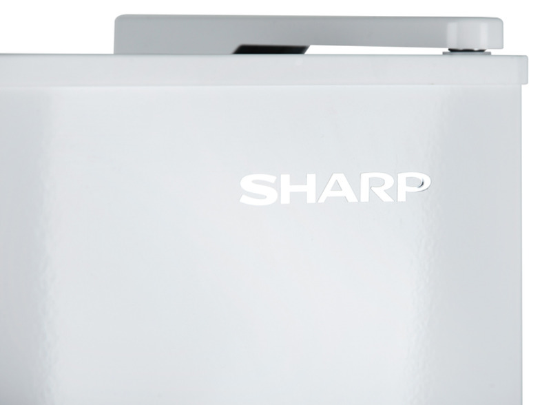 Холодильник Sharp SJ-FTB01ITXWE Europe - фото 3 Холодильник Sharp SJ-FTB01ITXWE Europe - фото 3